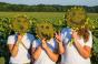 Агроекспедитори провели ревізію посівів соняшника на Полтавщині