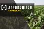 АгроПолігон Арніка: Кукурудза й озима пшениця в сівозміні органічного господарства