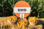 Результати урожайності гібридів кукурудзи KWS на демо-посівах у 2015 році
