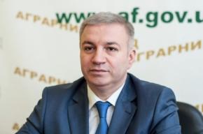 Андрій Радченко, Голова правління ПАТ «Аграрний фонд»