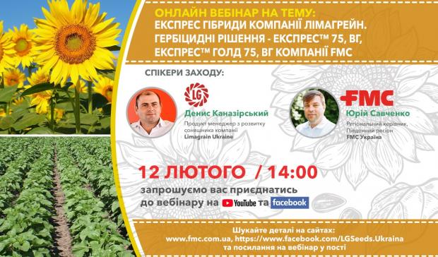 LG Seeds Ukraine. Експрес гібриди компанії Лімагрейн