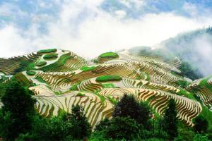 Rice Terraces System in Southern Mountainous and Hilly AreasLongsheng Longji Terraces, China