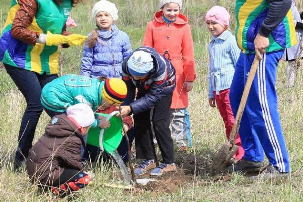 60 елітних саджанців для створення саду надав Перший національний аграрний кооператив