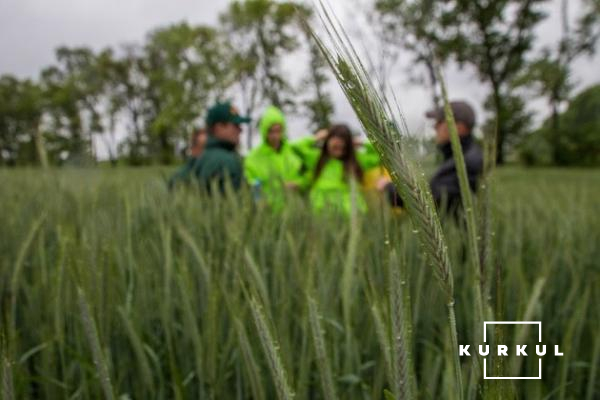 «Зерновий Край» почало сіяти жито ще минулого року