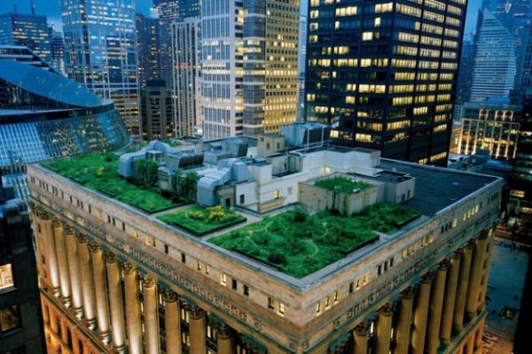 Зелений дах мерії Чикаго (США)