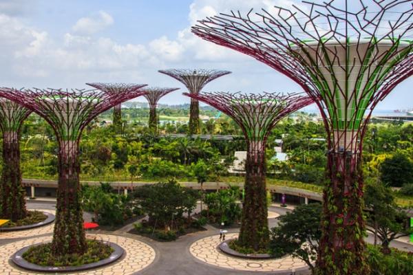 Сади біля затоки (Сінгапур)