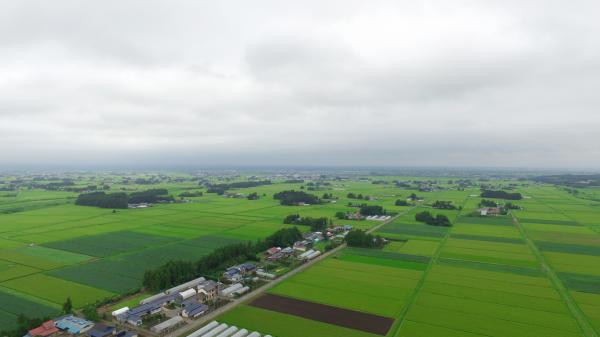 Osaki Kodo’s Traditional Water Management System for Sustainable Paddy Agriculture, Japan