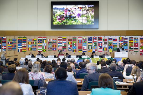 19 April 2018, Rome, Italy — Globally Important Agricultural Heritage Systems (GIAHS) International Forum and Certificate Award Ceremony, (Green Room), FAO Headquarters