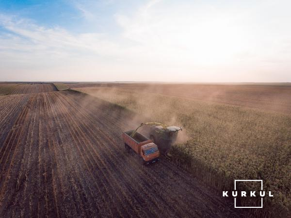 Техніка СТОВ «Україна» під час збирання кукурудзи