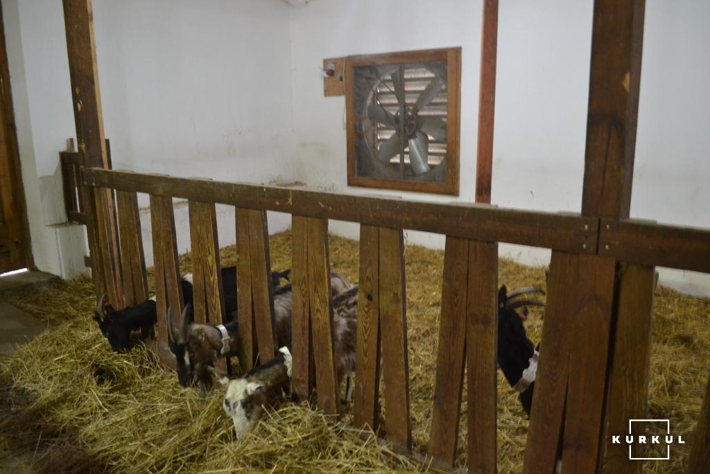 ФГ «Шеврет», що спеціалізується на утриманні кіз і виробництві сиру