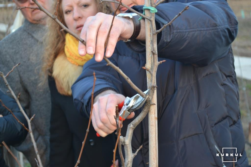 Експерт з Нідерландів Шаак Варлавен демонструє методи обрізки дерев