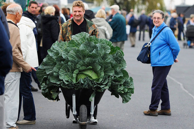 Фермер Дерек Нойманн везе свою овочеву королівну на виставку