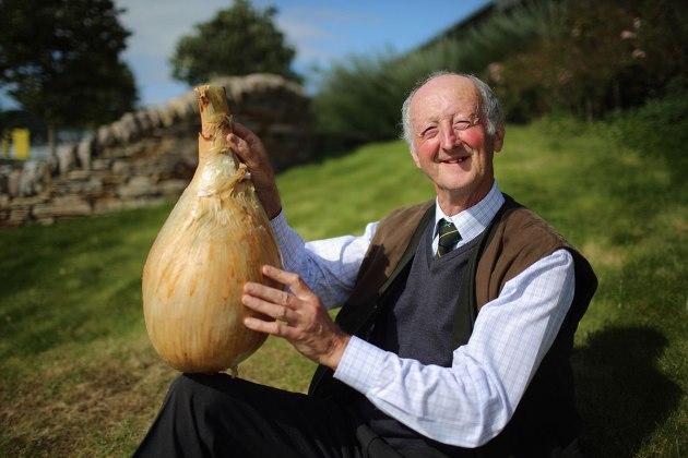 Цибулина Пітера Глейзбрука з Великобританії важить 8,5 кг