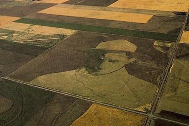 Американський фермер «малює» картини на полях