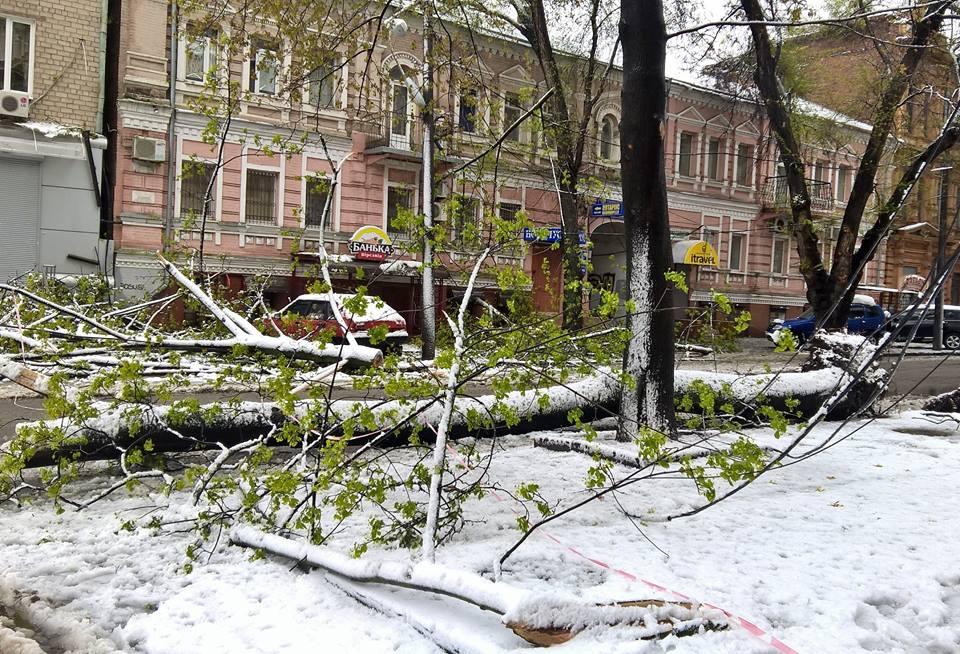 Квітневий снігопад в Україні
