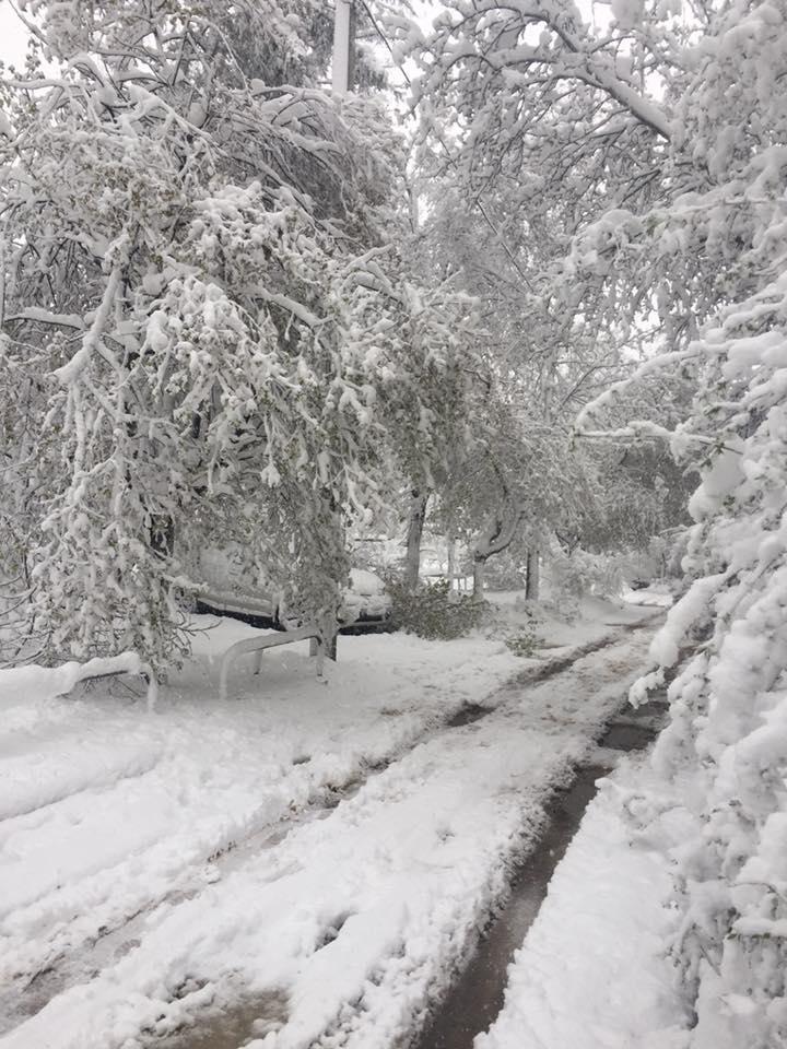 Квітневий снігопад в Україні