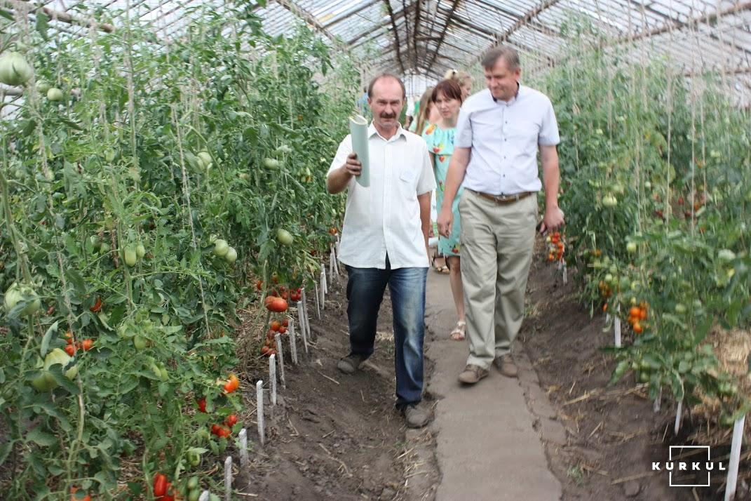 Свято помідора в Інституті овочівництва і баштанництва НААН