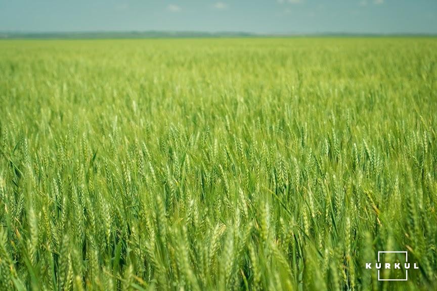  АгроПолігон John Deere: ПСП ім. Суворова захищають пшеницю