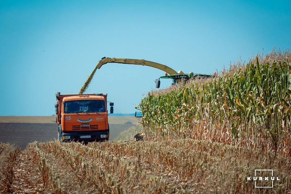 Техніка СТОВ «Україна» під час збирання кукурудзи