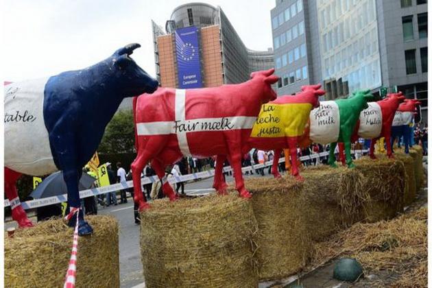 Корови у вигляді прапорів країн Євросоюзу