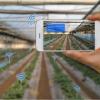 Цифрові технології, що повернуть молодь в агробізнес