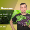 Андрій Марченко: Наші люди взагалі не знають, що таке «органіка»