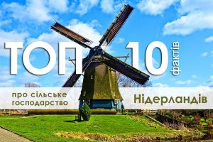 ТОП-10 фактів про сільське господарство Нідерландів