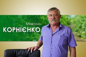 Микола Корнієнко: В Україні таких площ винограду, як ми, ніхто не садить