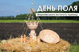 Миронівський інститут пшениці представив нові сорти зернових та технології на Дні поля