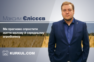Максим Єлісєєв: Ми прагнемо спростити життя малому й середньому агробізнесу