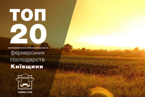 Рейтинг фермерських господарств Київської області