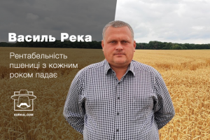 Василь Река: Рентабельність пшениці з кожним роком падає