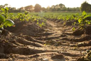 Агрохімічний олінклюзив від SAT-LAB: досліджуємо ґрунт