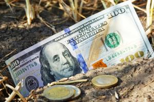 Зерно, дизель і валюта — ціни