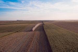 Як купити або продати земельну ділянку — алгоритм дій для фермерів
