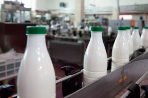 Молоко та молочні продукти: географія продажів, імпортери, обсяг експорту і виробництва