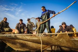 Кустарне рибальство та аквакультура в Україні — реалії та перспективи (фотопроєкт)