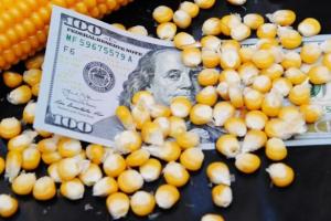 росія вкрала в українських фермерів $50 з тонни кукурудзи