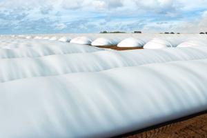 3 критичні помилки зберігання зеленого корму  в рукавах