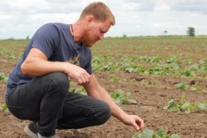 ТОП-10 фермерських господарств Волині