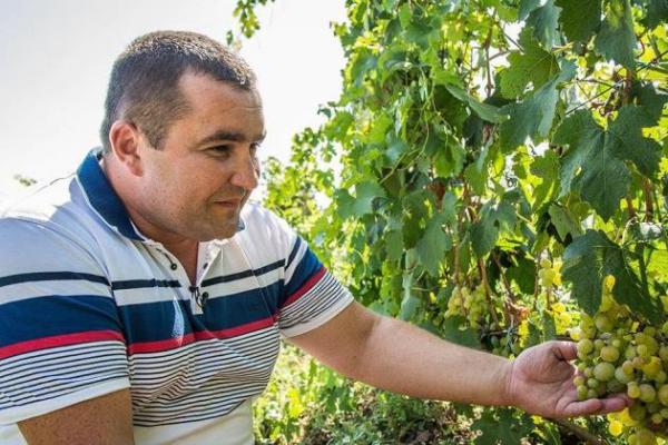 Сергій Панкєєв, директор ПП «Алекс» 