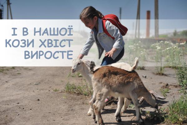 Як у «Родинному добробуті» відроджують козівництво
