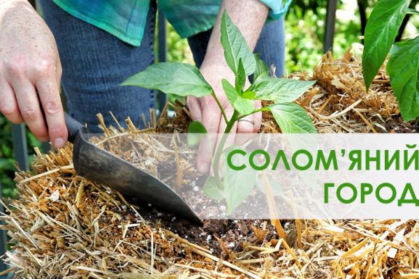 Солом’яні тюки: город для ледачих
