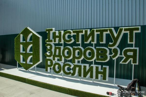«Пшениця на лікарняному», або Як відкривали «Інститут здоров'я рослин»