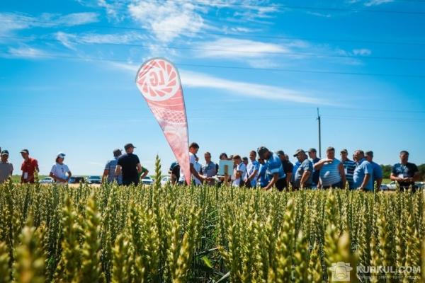 Мінімум затрат, максимум рентабельності: математика Агроскоп Інтернешнл
