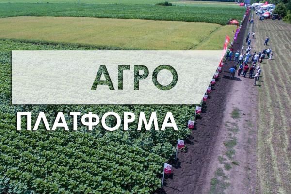 АгроПлатформа: Виживає не найсильніший, виживає адаптивний