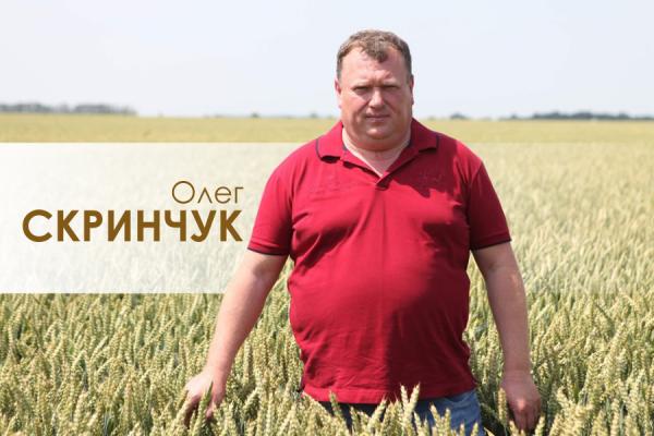 Олег Скринчук: держава просто закриває ринок ріпаку та сої