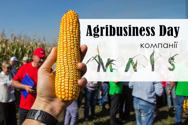 Золотий запас України або вдалий кукурудзяний сезон