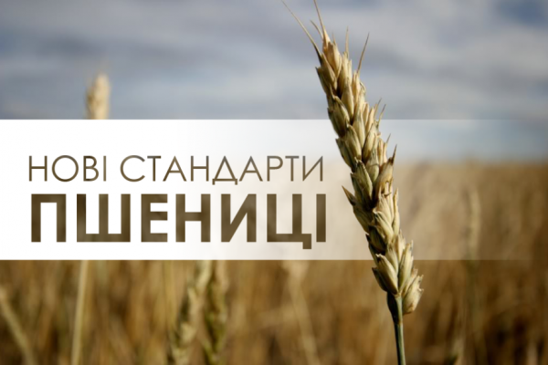 На які новвовведення щодо стандартів пшениці чекати фермерам?