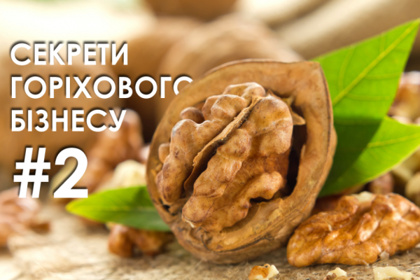 Секрети горіхового бізнесу: поради початківцям від Івана Юкала. Частина 2